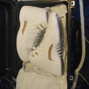 Air Jordan retro 12 OVO